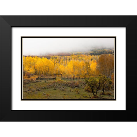 Fall and Fog Black Modern Wood Framed Art Print with Double Matting by Linden, Sally