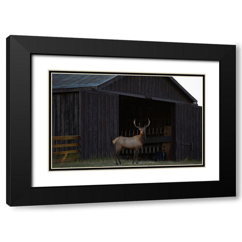 Eat Your Heart Out Hunters Black Modern Wood Framed Art Print with Double Matting by Linden, Sally