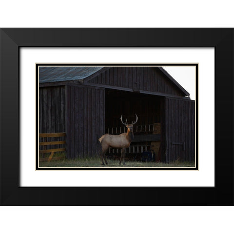 Eat Your Heart Out Hunters Black Modern Wood Framed Art Print with Double Matting by Linden, Sally
