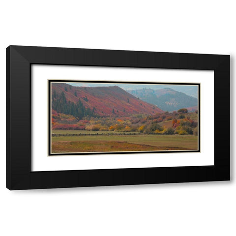 Fall and Sheep Black Modern Wood Framed Art Print with Double Matting by Linden, Sally
