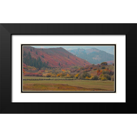 Fall and Sheep Black Modern Wood Framed Art Print with Double Matting by Linden, Sally