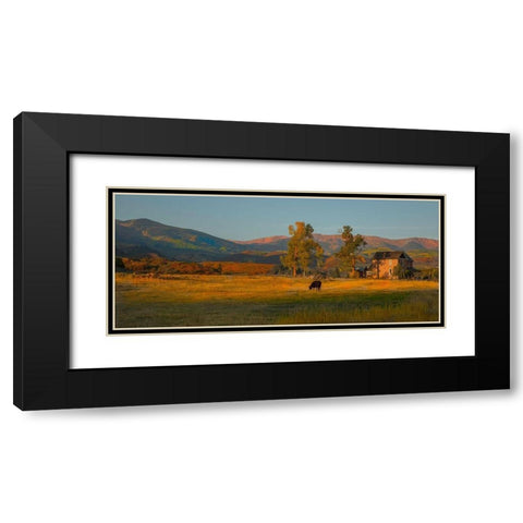 Fall Grazing Black Modern Wood Framed Art Print with Double Matting by Linden, Sally