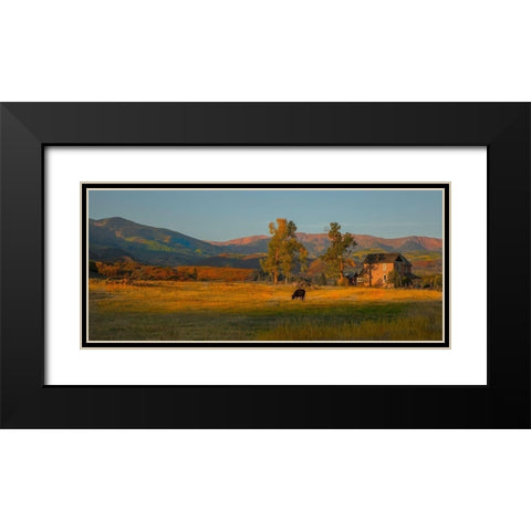 Fall Grazing Black Modern Wood Framed Art Print with Double Matting by Linden, Sally