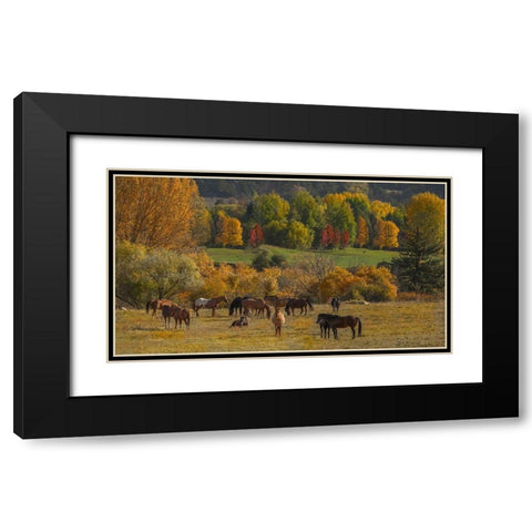 Perfect Life Black Modern Wood Framed Art Print with Double Matting by Linden, Sally