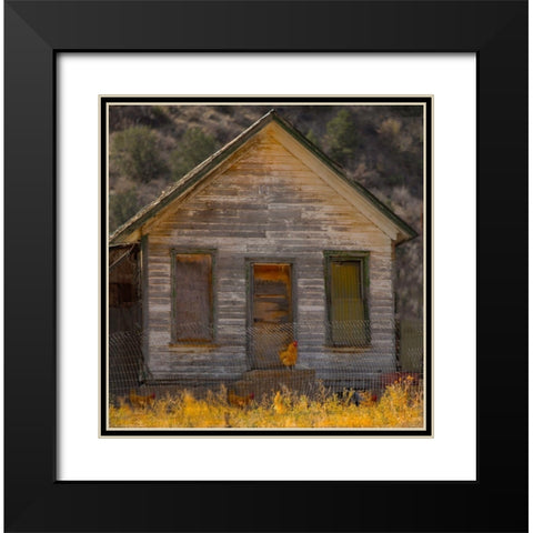 Rooster House Black Modern Wood Framed Art Print with Double Matting by Linden, Sally