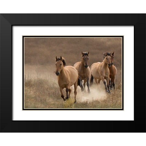 Wild Mares Black Modern Wood Framed Art Print with Double Matting by Linden, Sally