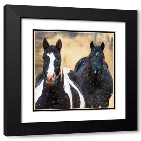 Snowy Horses 2 Black Modern Wood Framed Art Print with Double Matting by Linden, Sally