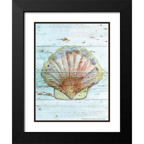 Seashell 1 Black Modern Wood Framed Art Print with Double Matting by Nobleworks, Inc.