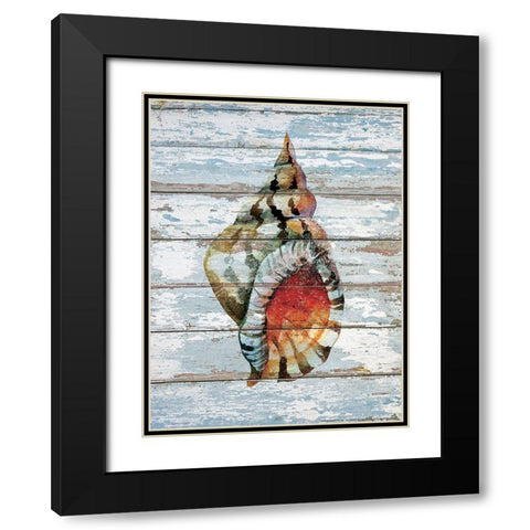 Seashell 2 Black Modern Wood Framed Art Print with Double Matting by Nobleworks, Inc.