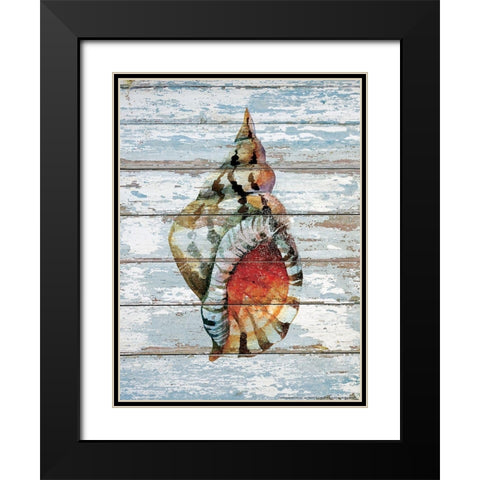 Seashell 2 Black Modern Wood Framed Art Print with Double Matting by Nobleworks, Inc.