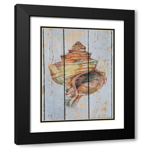 Seashell 4 Black Modern Wood Framed Art Print with Double Matting by Nobleworks, Inc.