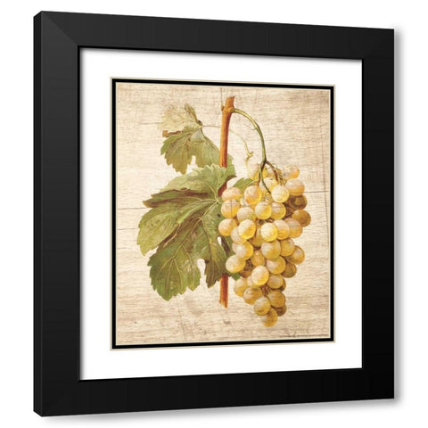 Grapevine 1 Black Modern Wood Framed Art Print with Double Matting by Nobleworks, Inc.