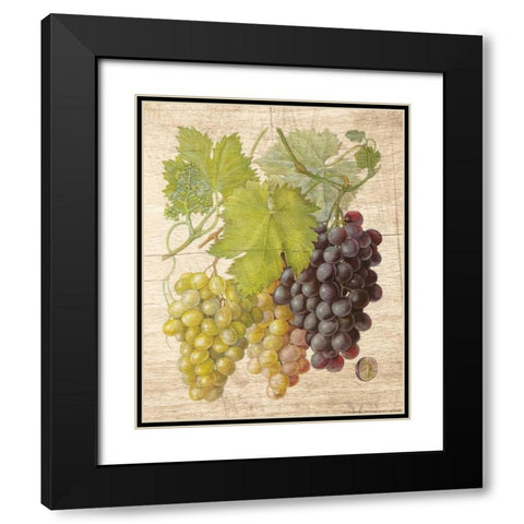 Grapevine 2 Black Modern Wood Framed Art Print with Double Matting by Nobleworks, Inc.