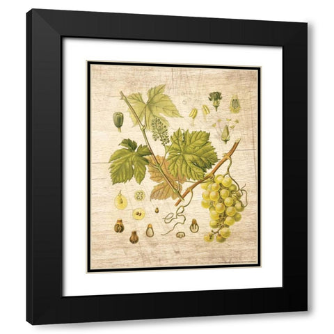 Grapevine 3 Black Modern Wood Framed Art Print with Double Matting by Nobleworks, Inc.