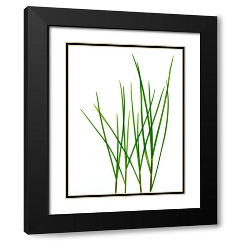 Grass-Vermont Black Modern Wood Framed Art Print with Double Matting by Rosenthal, Barry