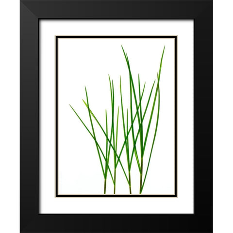 Grass-Vermont Black Modern Wood Framed Art Print with Double Matting by Rosenthal, Barry