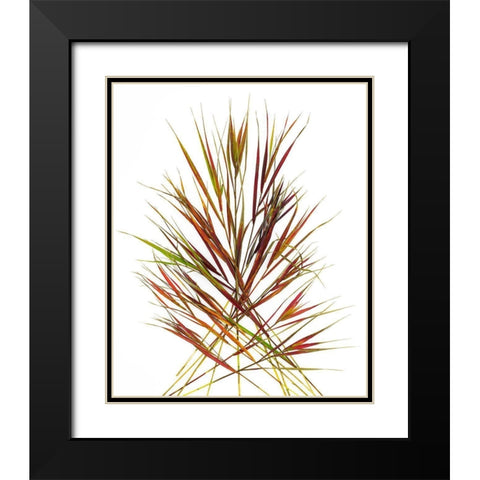 Japenese Grass Black Modern Wood Framed Art Print with Double Matting by Rosenthal, Barry