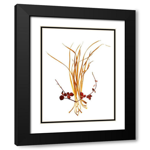 Straw And Rasberry Black Modern Wood Framed Art Print with Double Matting by Rosenthal, Barry