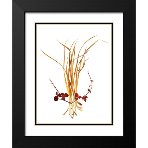 Straw And Rasberry Black Modern Wood Framed Art Print with Double Matting by Rosenthal, Barry