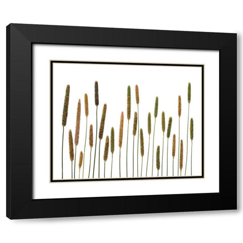 Timothy Black Modern Wood Framed Art Print with Double Matting by Rosenthal, Barry