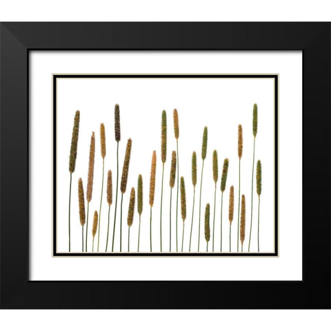 Timothy Black Modern Wood Framed Art Print with Double Matting by Rosenthal, Barry
