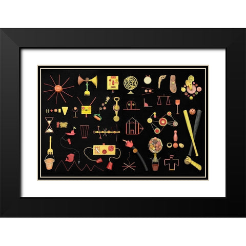 Sea Life Black Modern Wood Framed Art Print with Double Matting by Rosenthal, Barry
