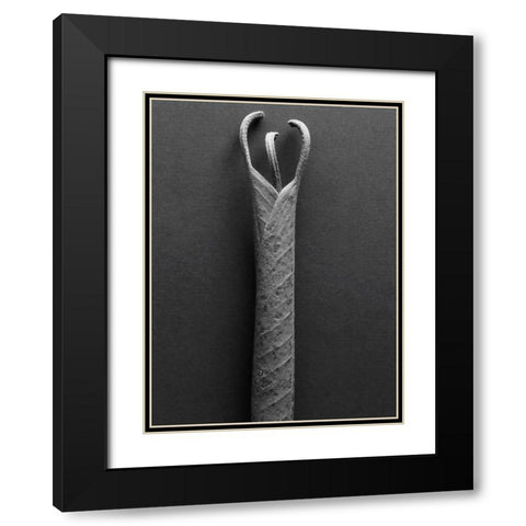 Mountain Leaves 2 Black Modern Wood Framed Art Print with Double Matting by Rosenthal, Barry