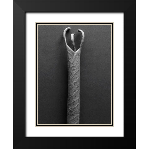 Mountain Leaves 2 Black Modern Wood Framed Art Print with Double Matting by Rosenthal, Barry