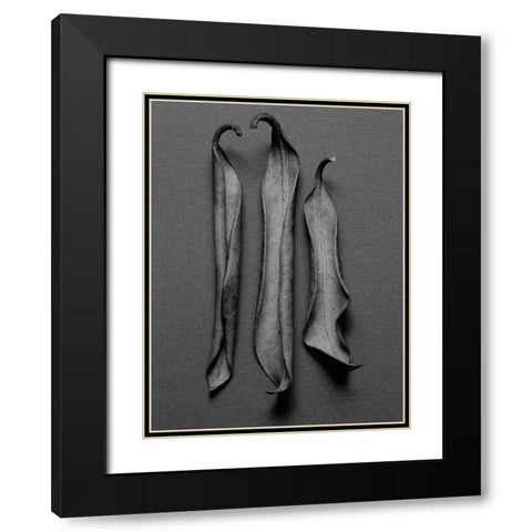 Mountain Leaves 1 Black Modern Wood Framed Art Print with Double Matting by Rosenthal, Barry