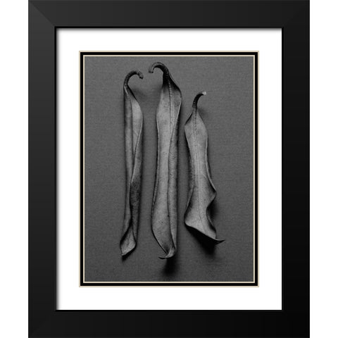 Mountain Leaves 1 Black Modern Wood Framed Art Print with Double Matting by Rosenthal, Barry