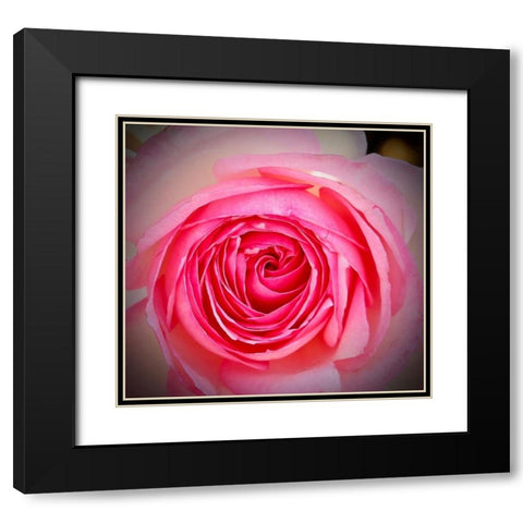 Monecito Rose Black Modern Wood Framed Art Print with Double Matting by Vizvary, Susan
