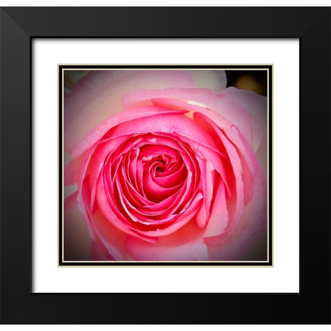 Monecito Rose Black Modern Wood Framed Art Print with Double Matting by Vizvary, Susan