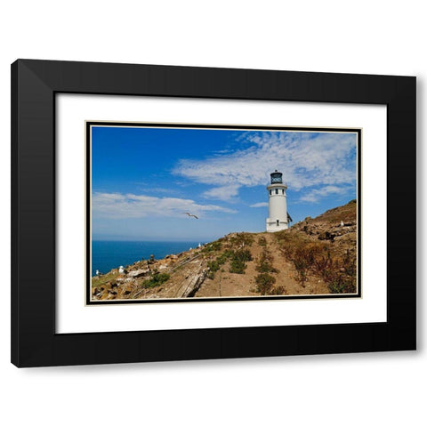 Anacapa Lighthouse Black Modern Wood Framed Art Print with Double Matting by Vizvary, Susan