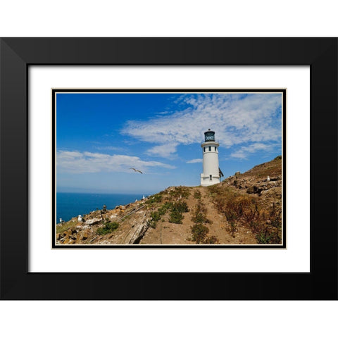 Anacapa Lighthouse Black Modern Wood Framed Art Print with Double Matting by Vizvary, Susan