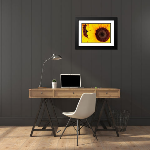 RT 66 Towing Black Modern Wood Framed Art Print with Double Matting by Vizvary, Susan