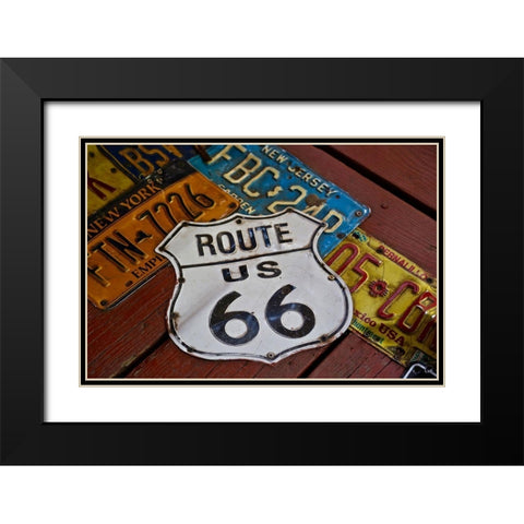 License Paltes Black Modern Wood Framed Art Print with Double Matting by Vizvary, Susan