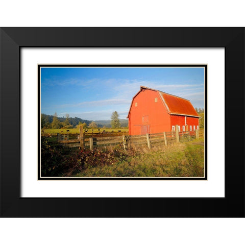 Red Barn With Cows Black Modern Wood Framed Art Print with Double Matting by Vizvary, Susan