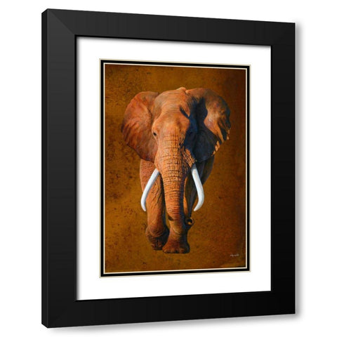 Elephant 03 Black Modern Wood Framed Art Print with Double Matting by Chamard, Jean-Marc