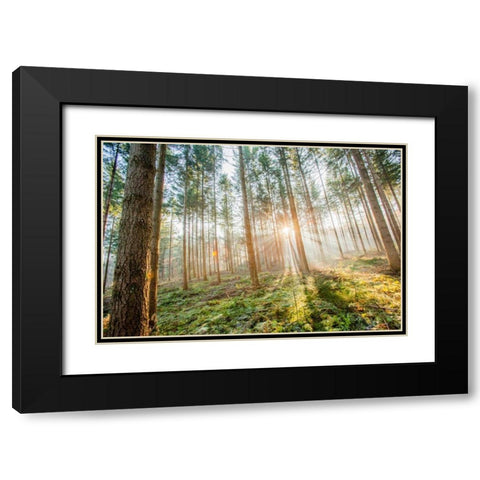 Sunflare 1 Black Modern Wood Framed Art Print with Double Matting by Henk van Gog
