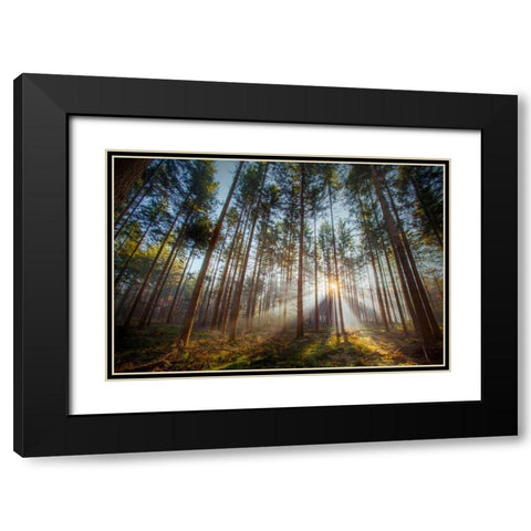 Sunflare 2 Black Modern Wood Framed Art Print with Double Matting by Henk van Gog