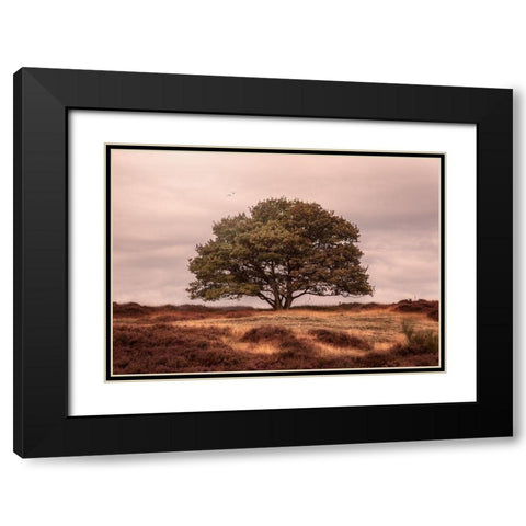 Tree Black Modern Wood Framed Art Print with Double Matting by Henk van Gog