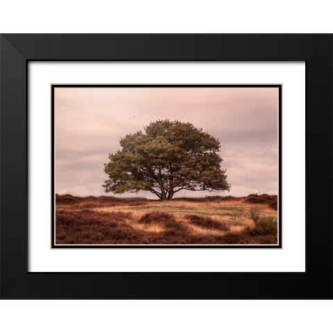Tree Black Modern Wood Framed Art Print with Double Matting by Henk van Gog
