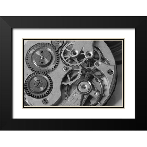 OLD-FASHIONED II Black Modern Wood Framed Art Print with Double Matting by Fossey, George