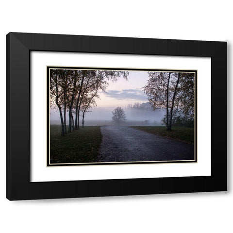 Foggy Morning II Black Modern Wood Framed Art Print with Double Matting by Carlier, Dick