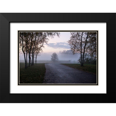 Foggy Morning II Black Modern Wood Framed Art Print with Double Matting by Carlier, Dick