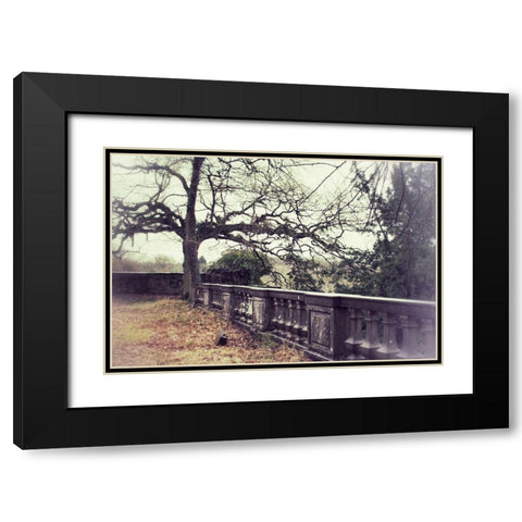 Lonely Tree Black Modern Wood Framed Art Print with Double Matting by Carlier, Dick