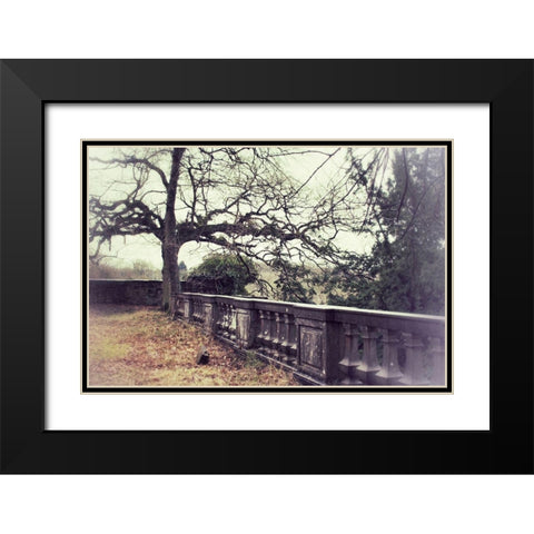 Lonely Tree Black Modern Wood Framed Art Print with Double Matting by Carlier, Dick