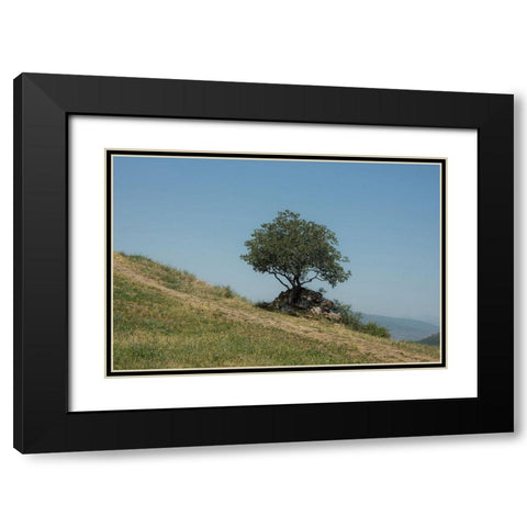 Tree On Hill Black Modern Wood Framed Art Print with Double Matting by Carlier, Dick
