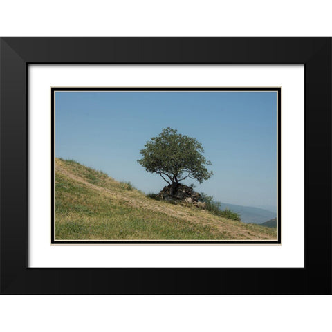 Tree On Hill Black Modern Wood Framed Art Print with Double Matting by Carlier, Dick
