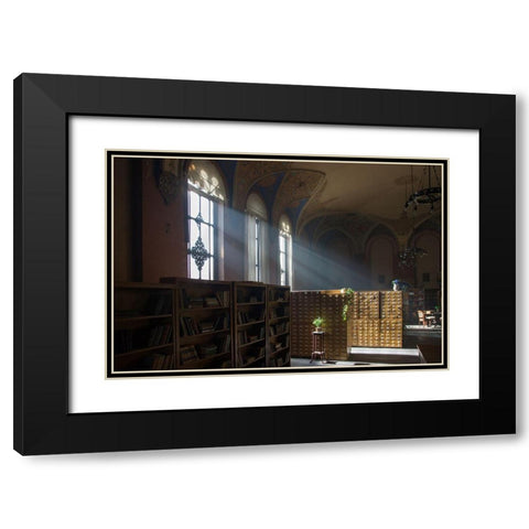 Library Black Modern Wood Framed Art Print with Double Matting by Carlier, Dick
